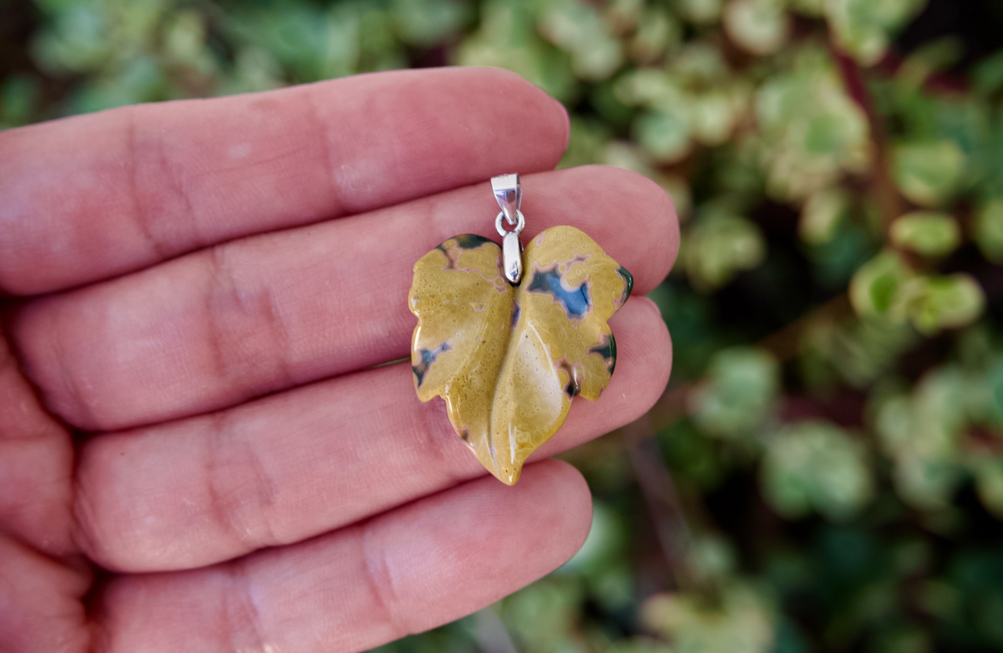 Yellow and Green 8th Vein Ocean Jasper Leaf Pendant with 925 Silver Bail