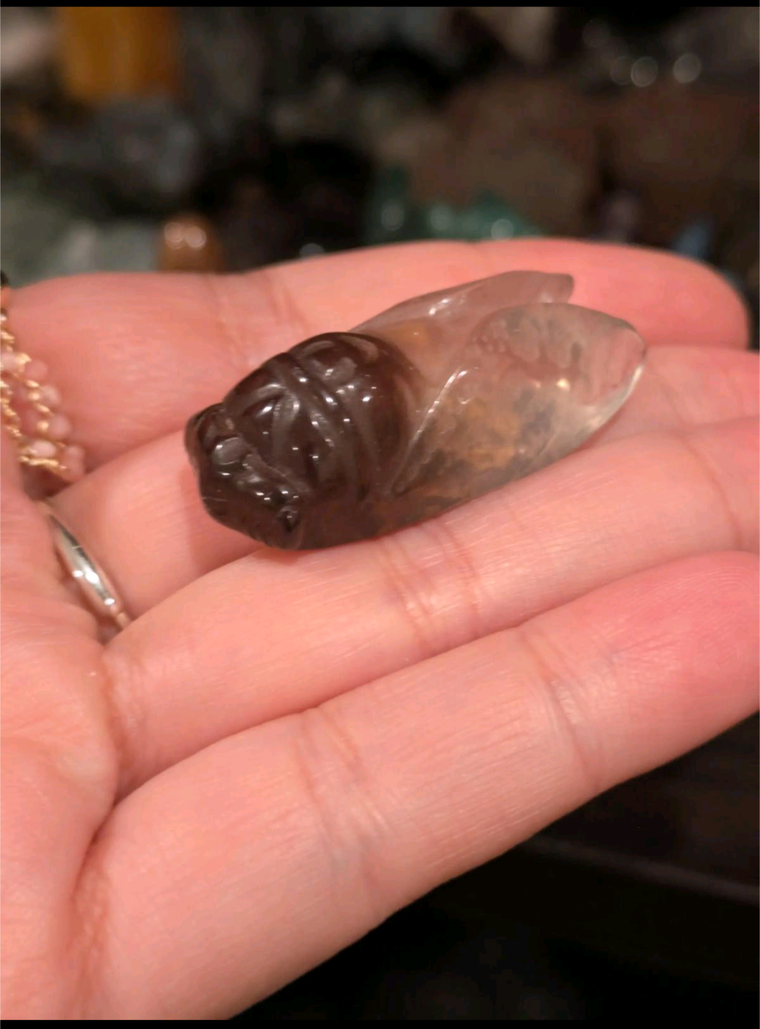 Smokey Quartz Gradient Cicada Carving