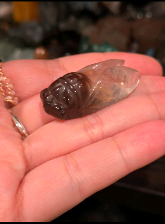 Smokey Quartz Gradient Cicada Carving