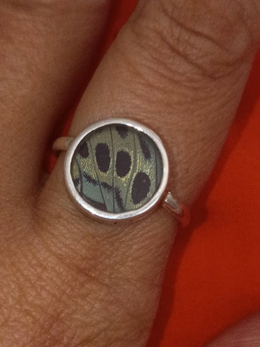 Butterfly Wing Ring Calithea Round 950 Sterling Silver Size 8