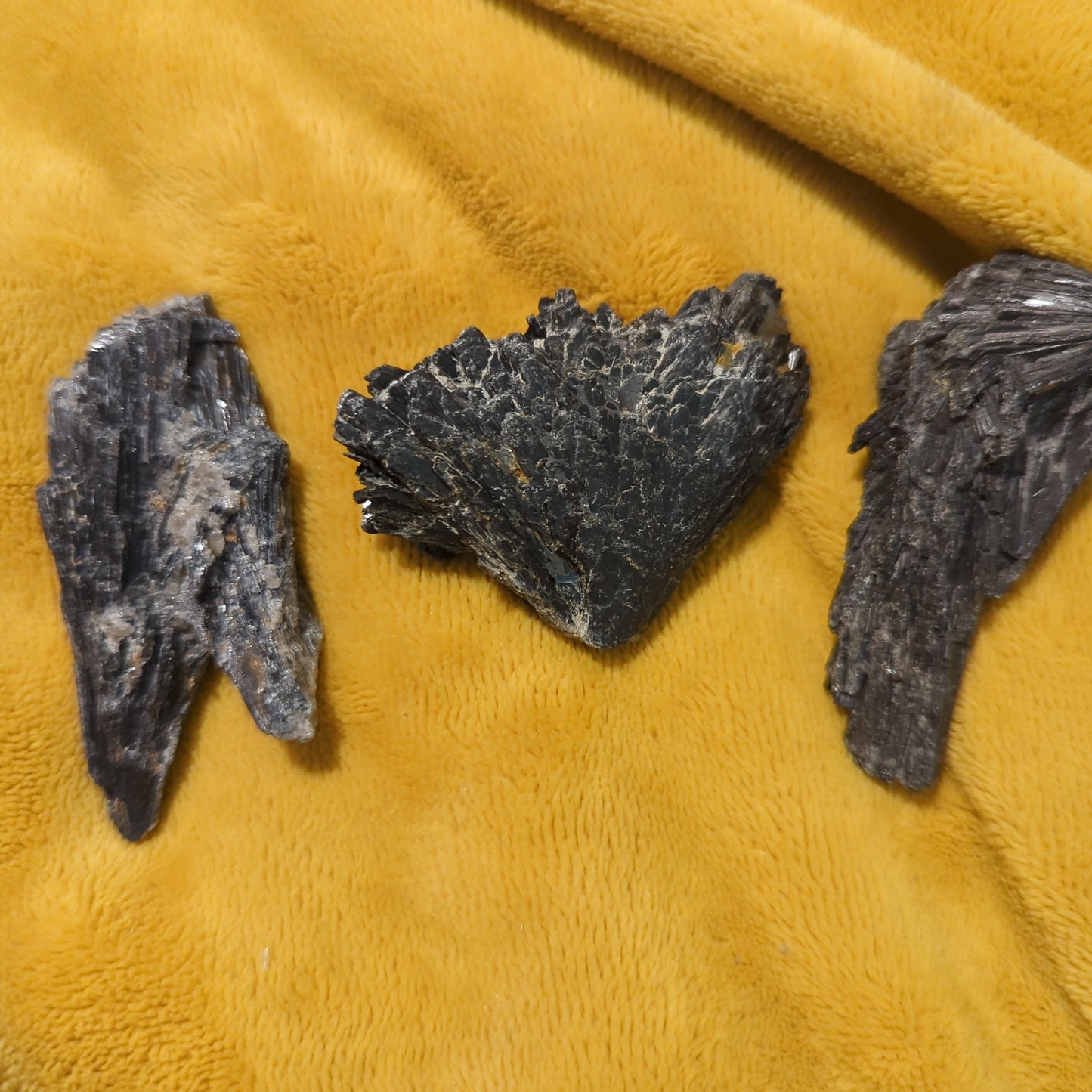 Raw black kyanite witches broom crystals