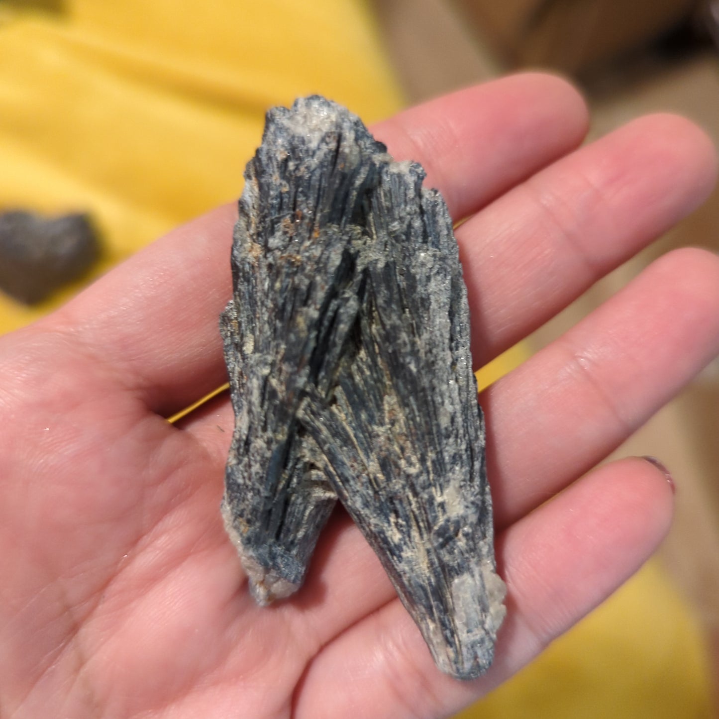 Raw black kyanite witches broom crystals